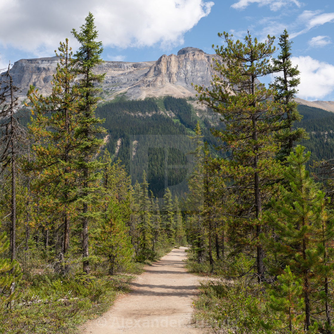 "Yoho National Park, British Columbia, Canada" stock image