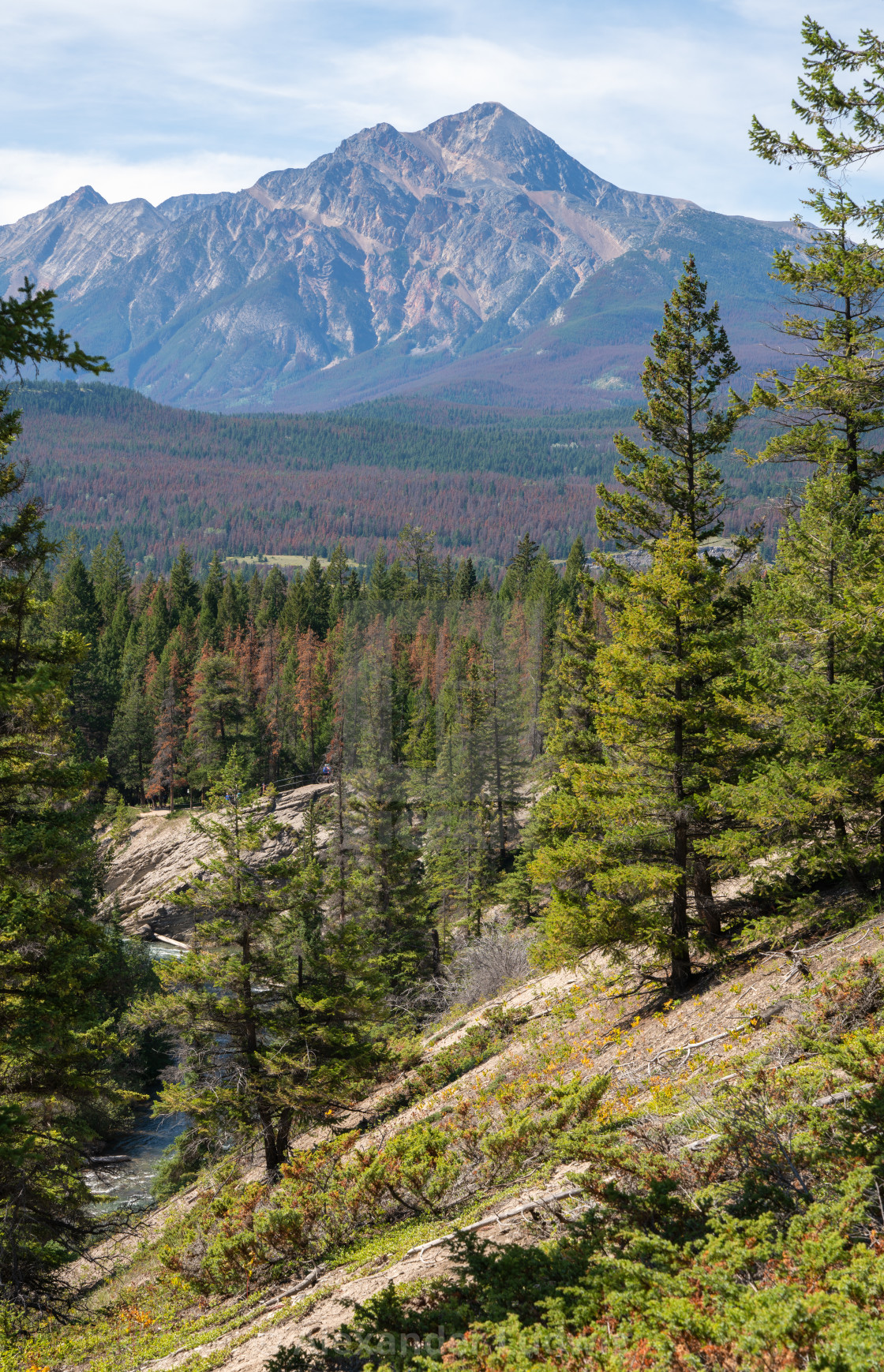 "Maligne Canyon, Jasper National Park, Alberta, Canada" stock image