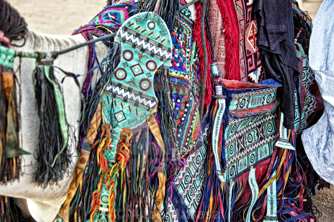 "Leather decoration on a Touareg camel, Niger; West Africa" stock image