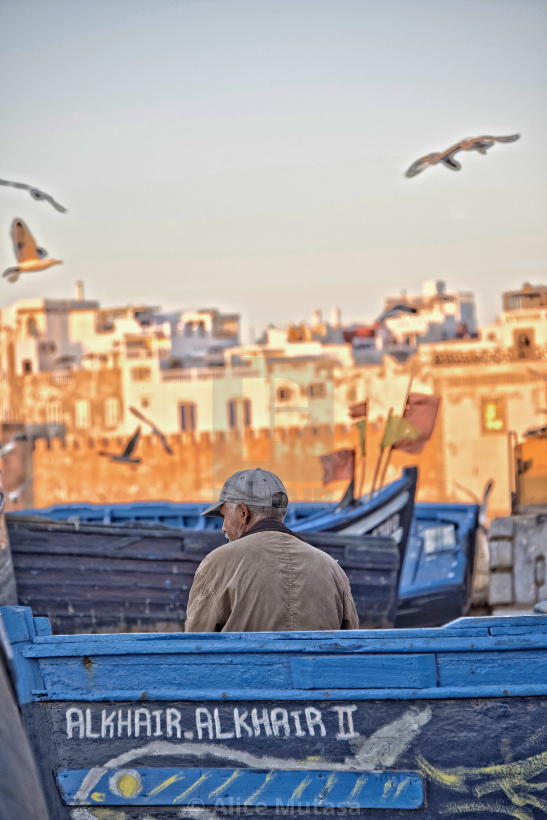"Lone fisherman - Essaouira port, Morocco" by Alice Mutasa - $38.10 "Lone fisherman - Essaouira port, Morocco" stock image