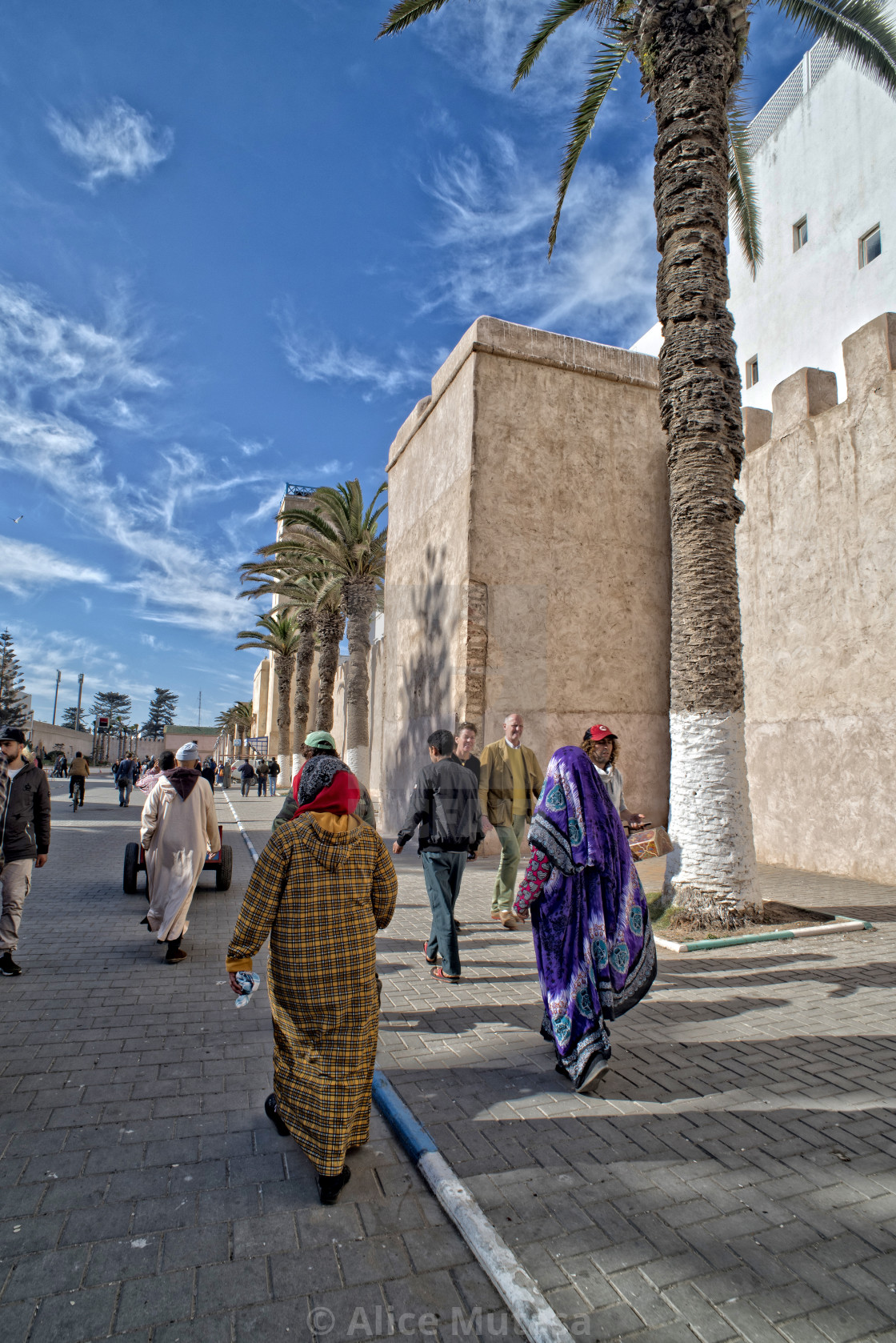 "People and palm trees - sunny street in Essaouira, Morocco" stock image