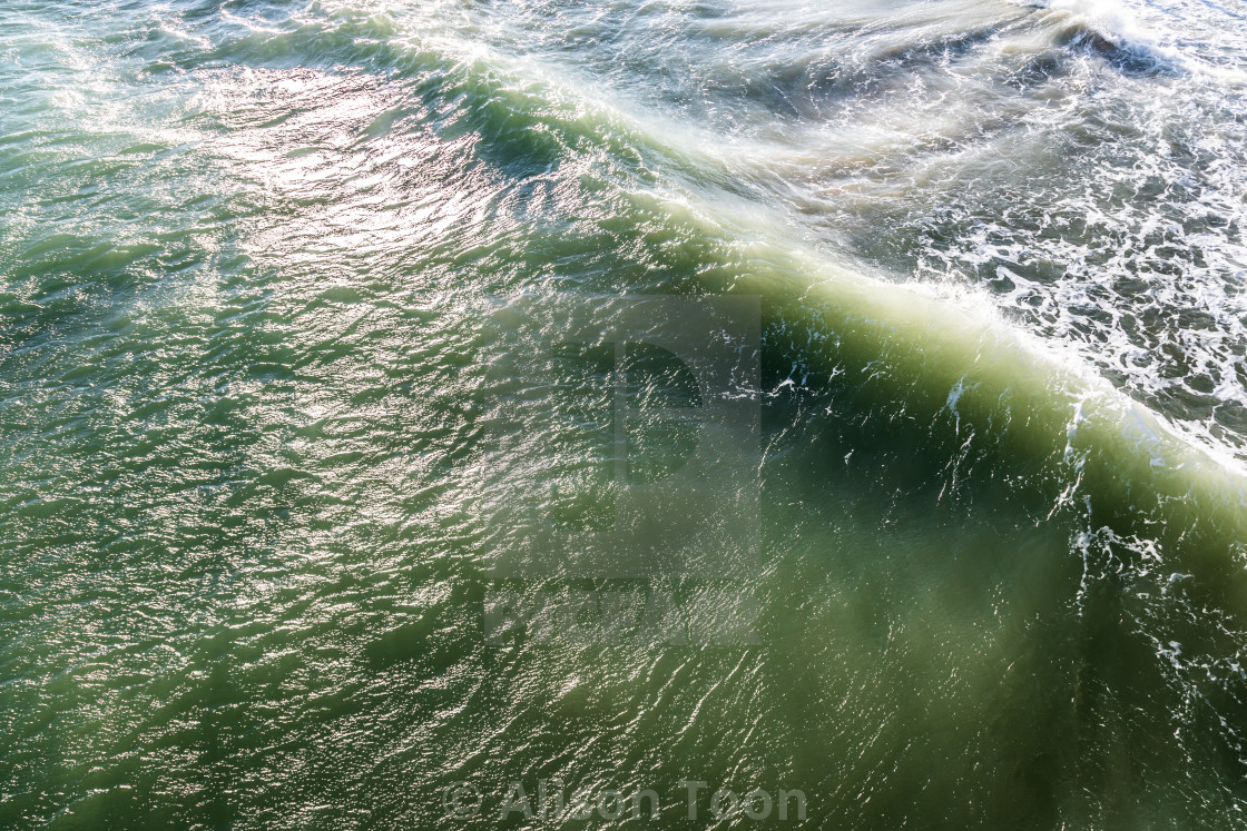 "Wave" by Alison Toon - £12.40 "Wave" stock image