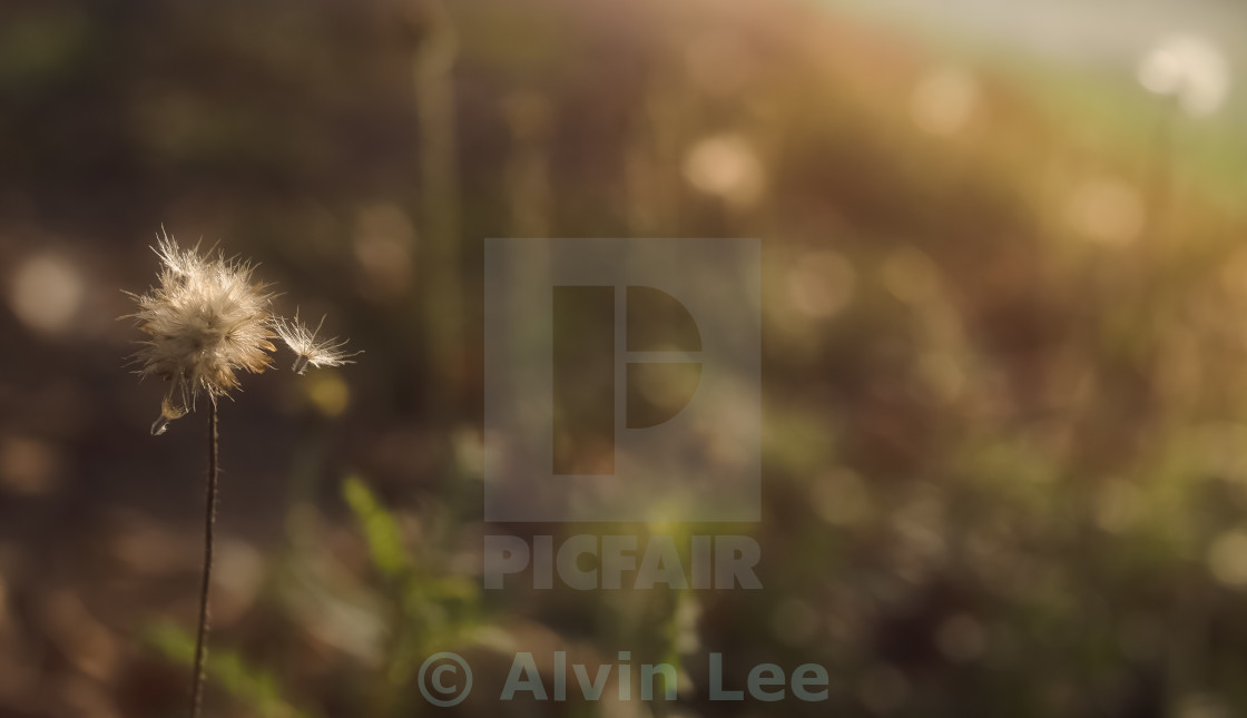 "Leaving" stock image