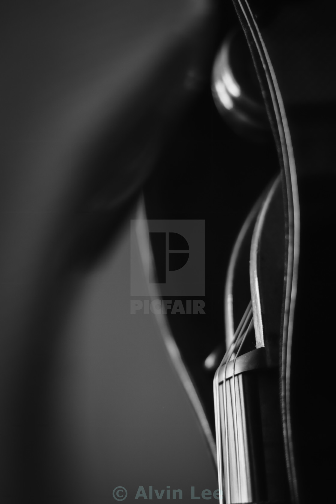 "Cello in case" stock image