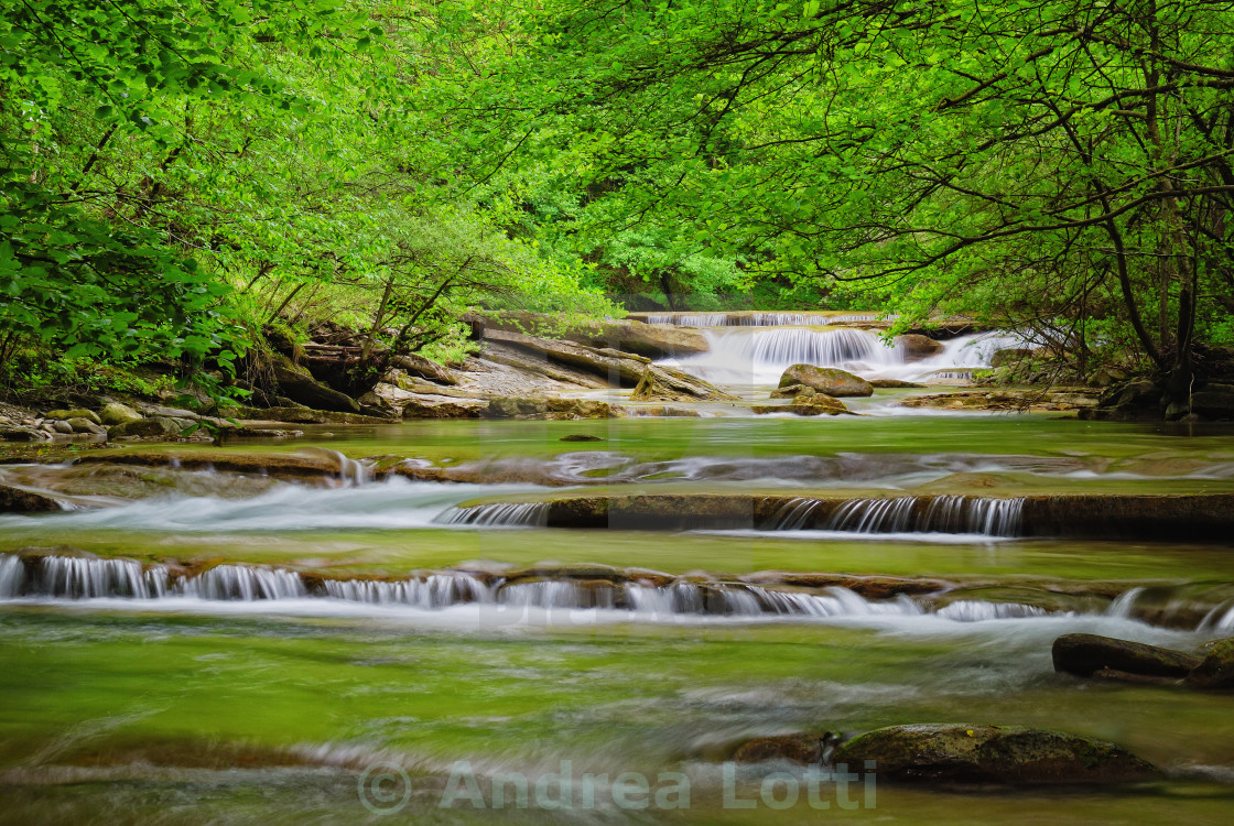 "stream in the park" stock image