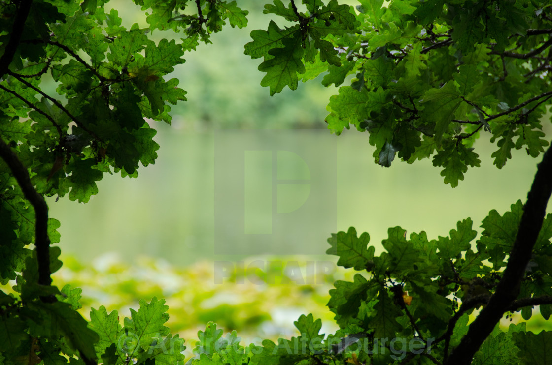 Natural frame nature background - License, download or print for £ |  Photos | Picfair