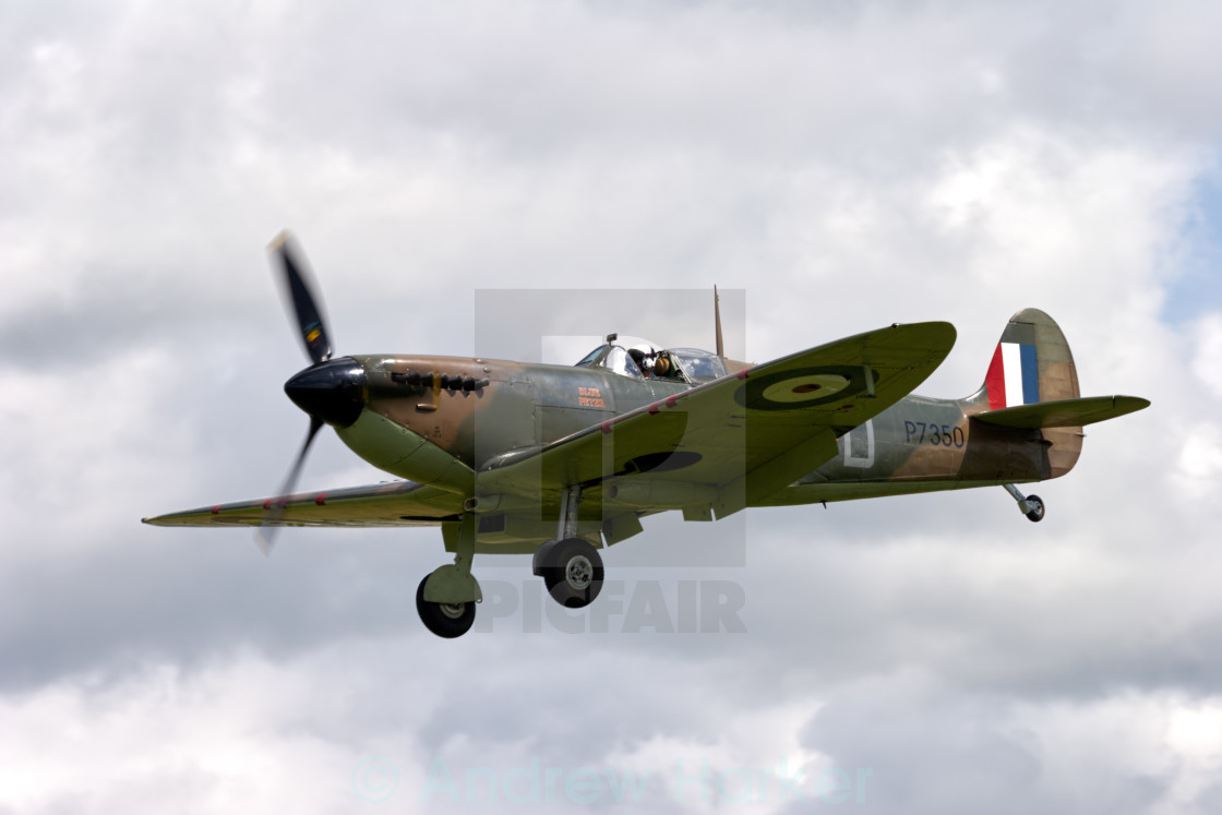 "Supermarine Spitfire IIa P7350/XT-D" by Andrew Harker - $15.16 "Supermarine Spitfire IIa P7350/XT-D" stock image