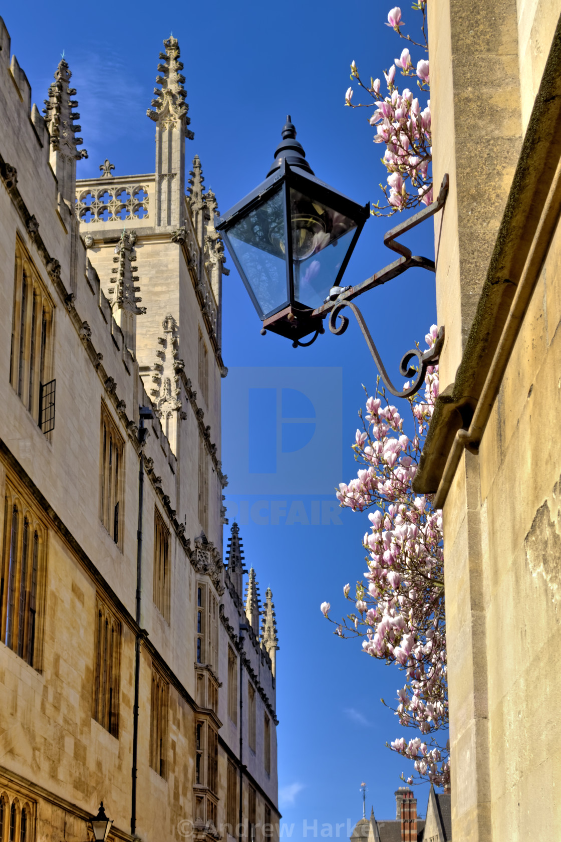 "Catte Street, Oxford, UK" stock image