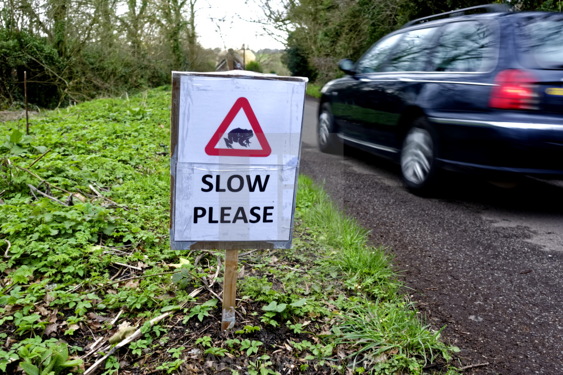 "Warminster Smallbrook Meadows Toad Warning Signs" by Andrew Harker - $15.16 "Warminster Smallbrook Meadows Toad Warning Signs" stock image