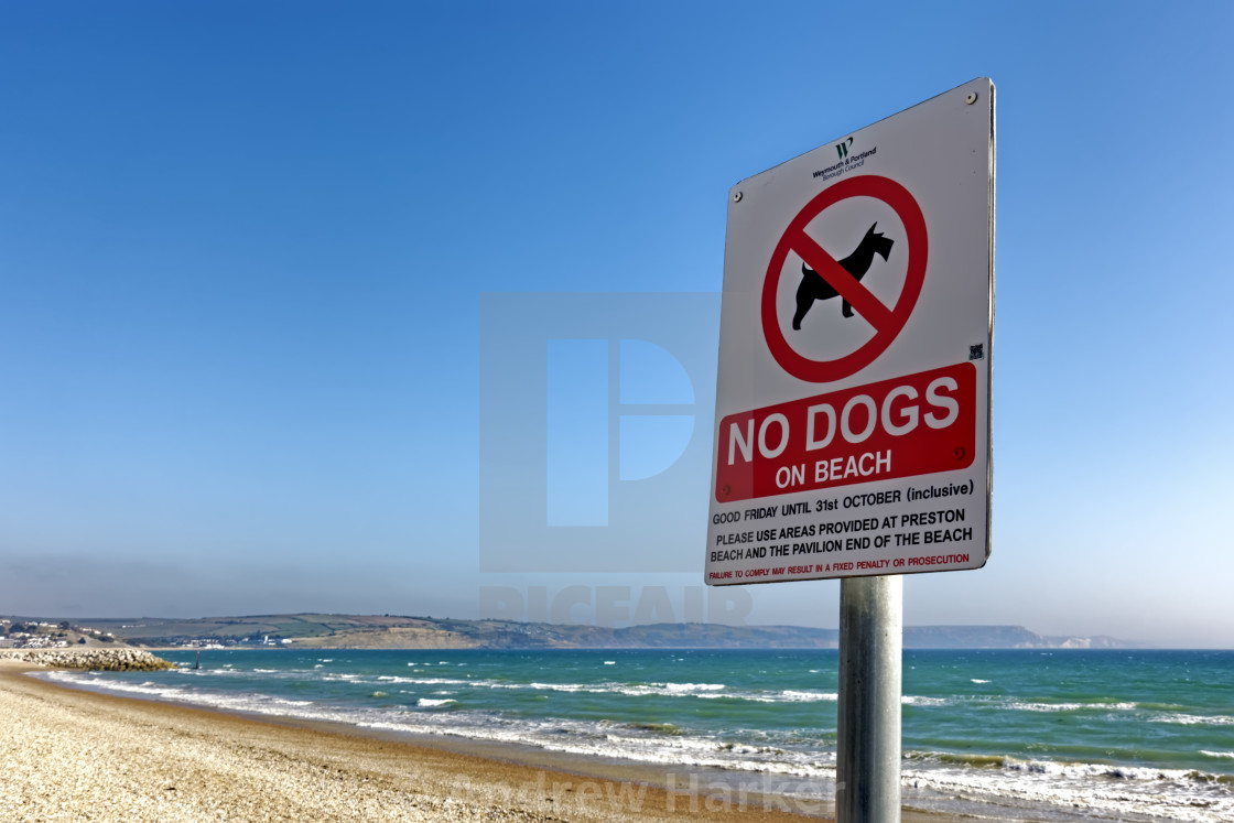 "No Dogs On Beach sign, Weymouth, Dorset, UK" stock image