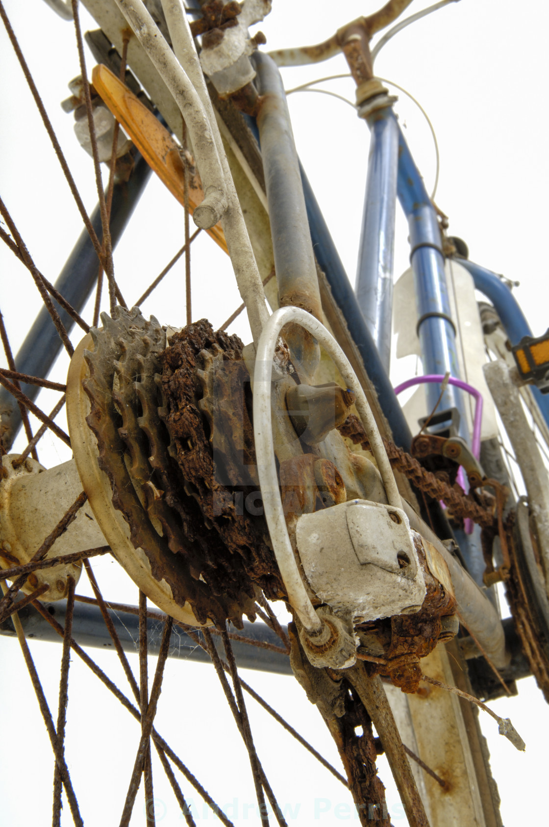 Rusty Old Bike License Download Or Print For 12 40 Photos Picfair The following 45 files are in this category, out of 45 total. https www picfair com pics 02560076 rusty old bike