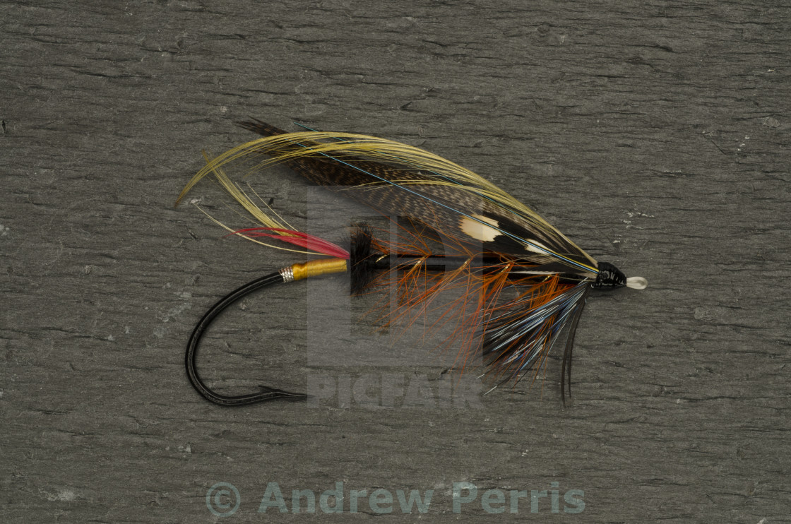 Thunder and Lightning Salmon Fly - License, download or print for £ |  Photos | Picfair