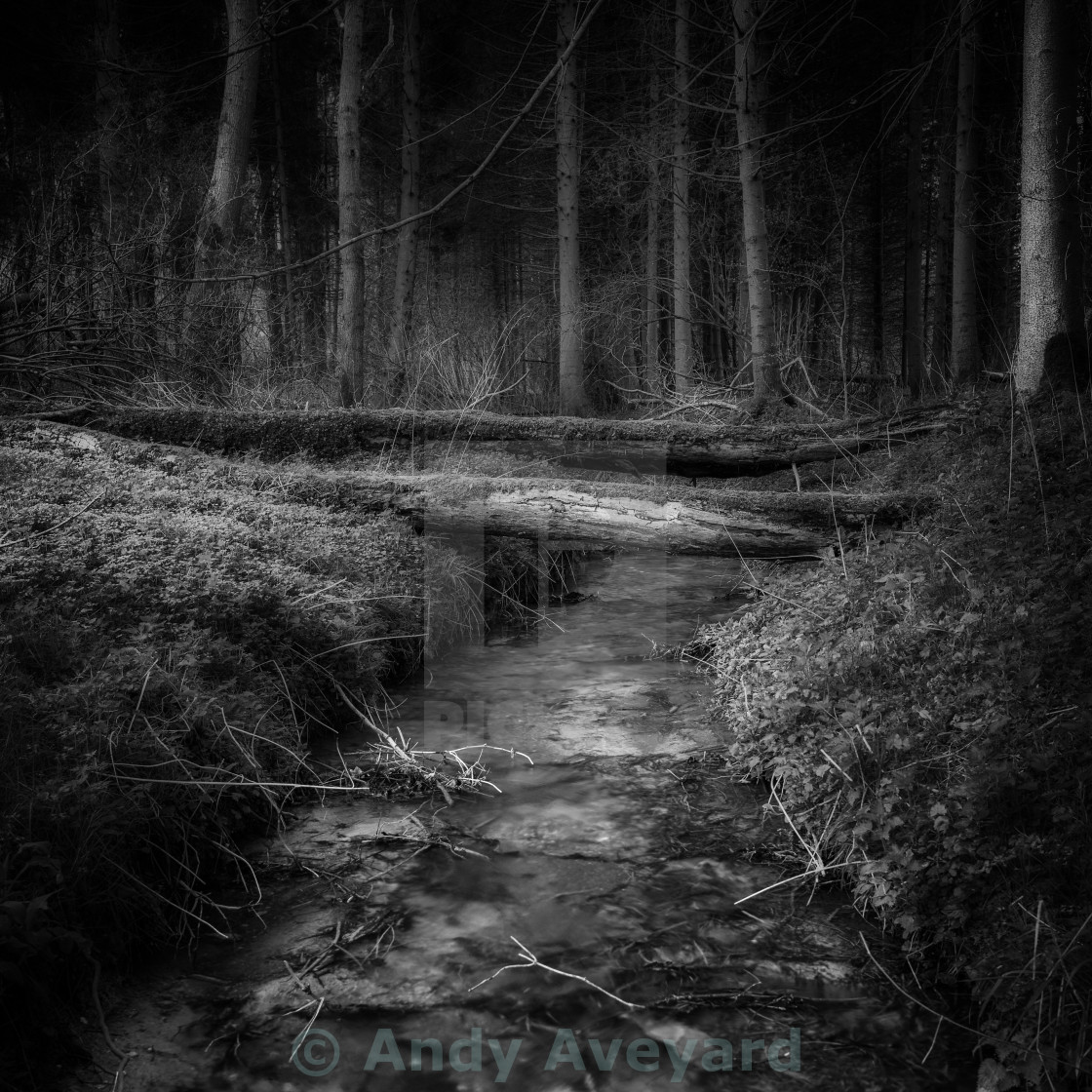 "Woodland Stream in black and white" stock image