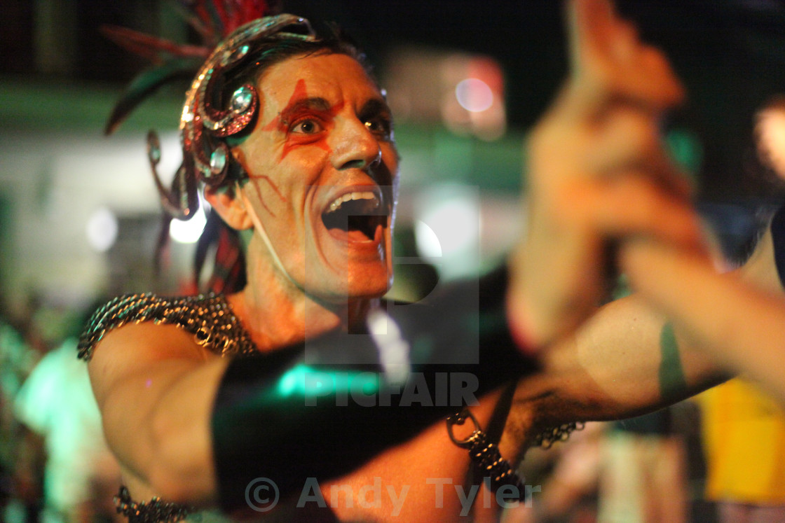 "Mardi Gras Reveller" stock image