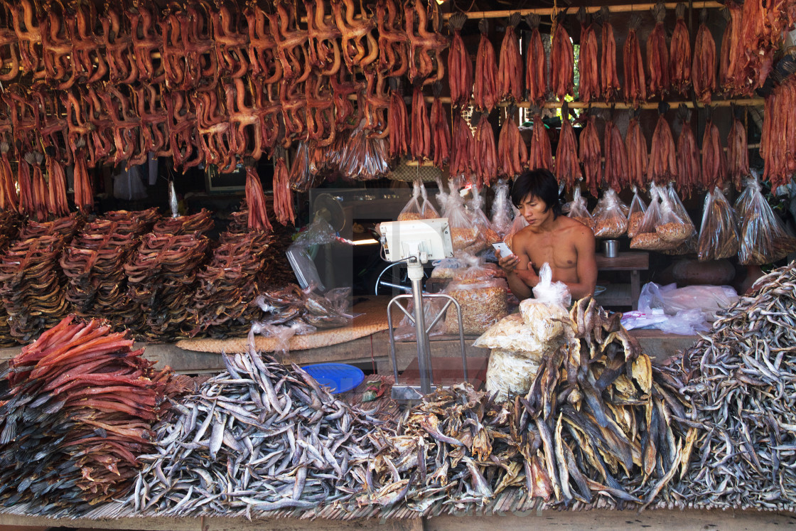 "Fishy Business" stock image