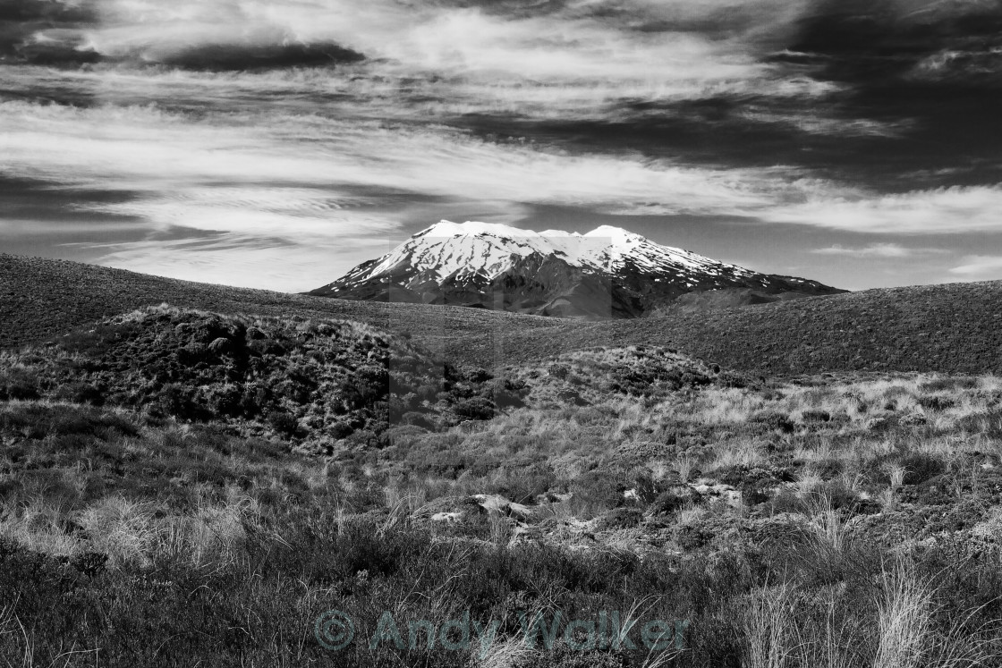 "Mount Ruapehu" stock image