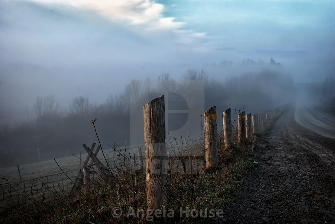 "Fence in the fog" stock image