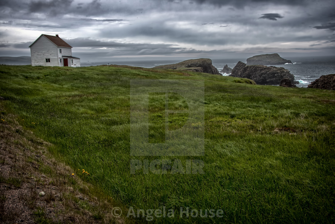 "Little White House with a red door in Elliston, Newfoundland" stock image