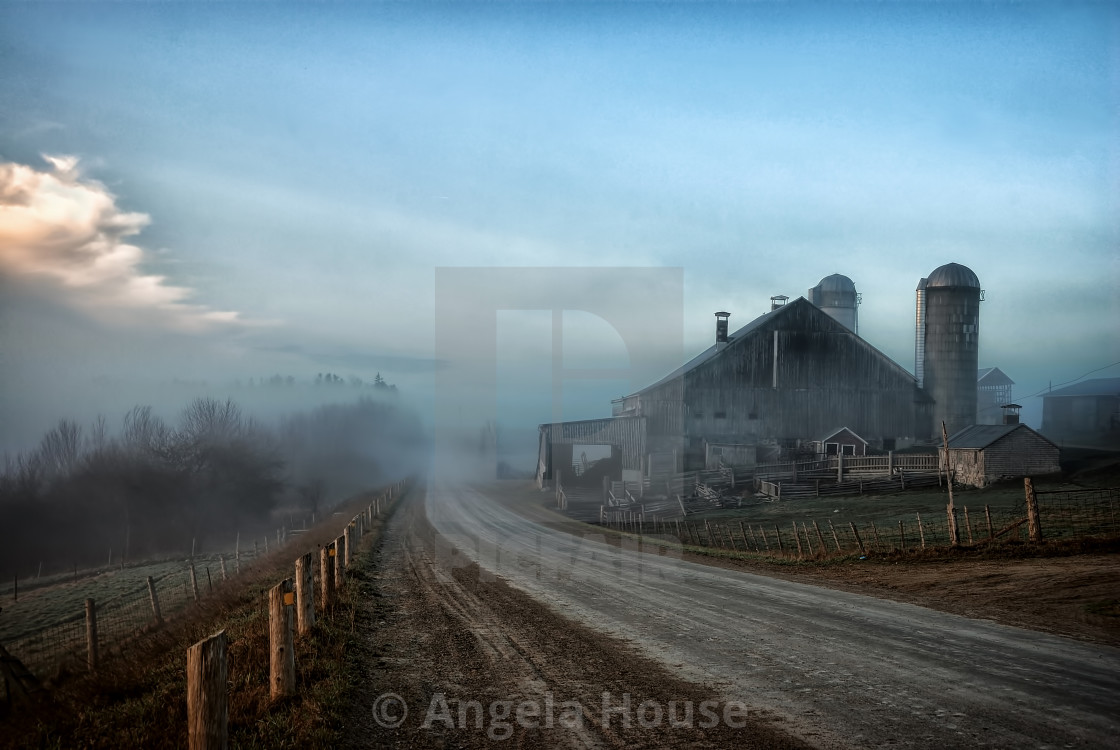 "Morning Fog" stock image