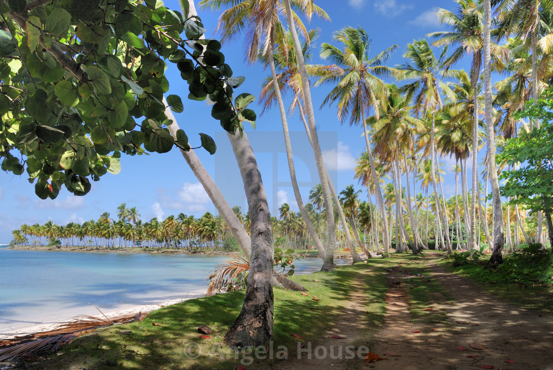 "Samana, Dominican Republic" stock image