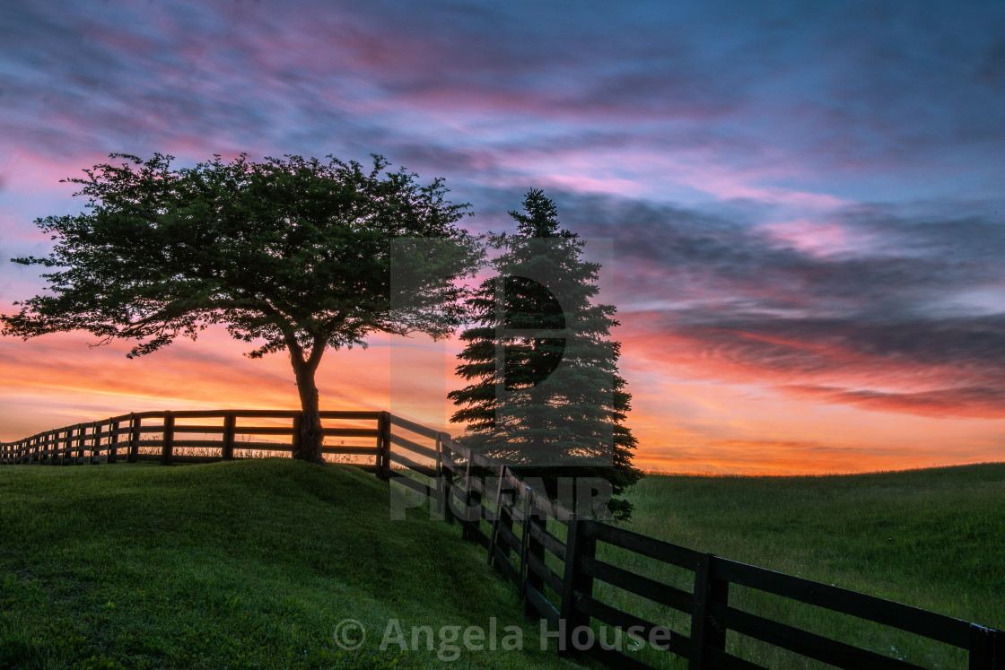 "Sunrise over trees in Caledon" stock image