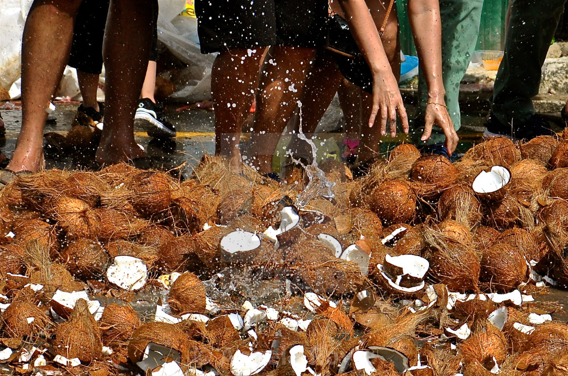 "Smashing coconuts at Thaipusam" stock image