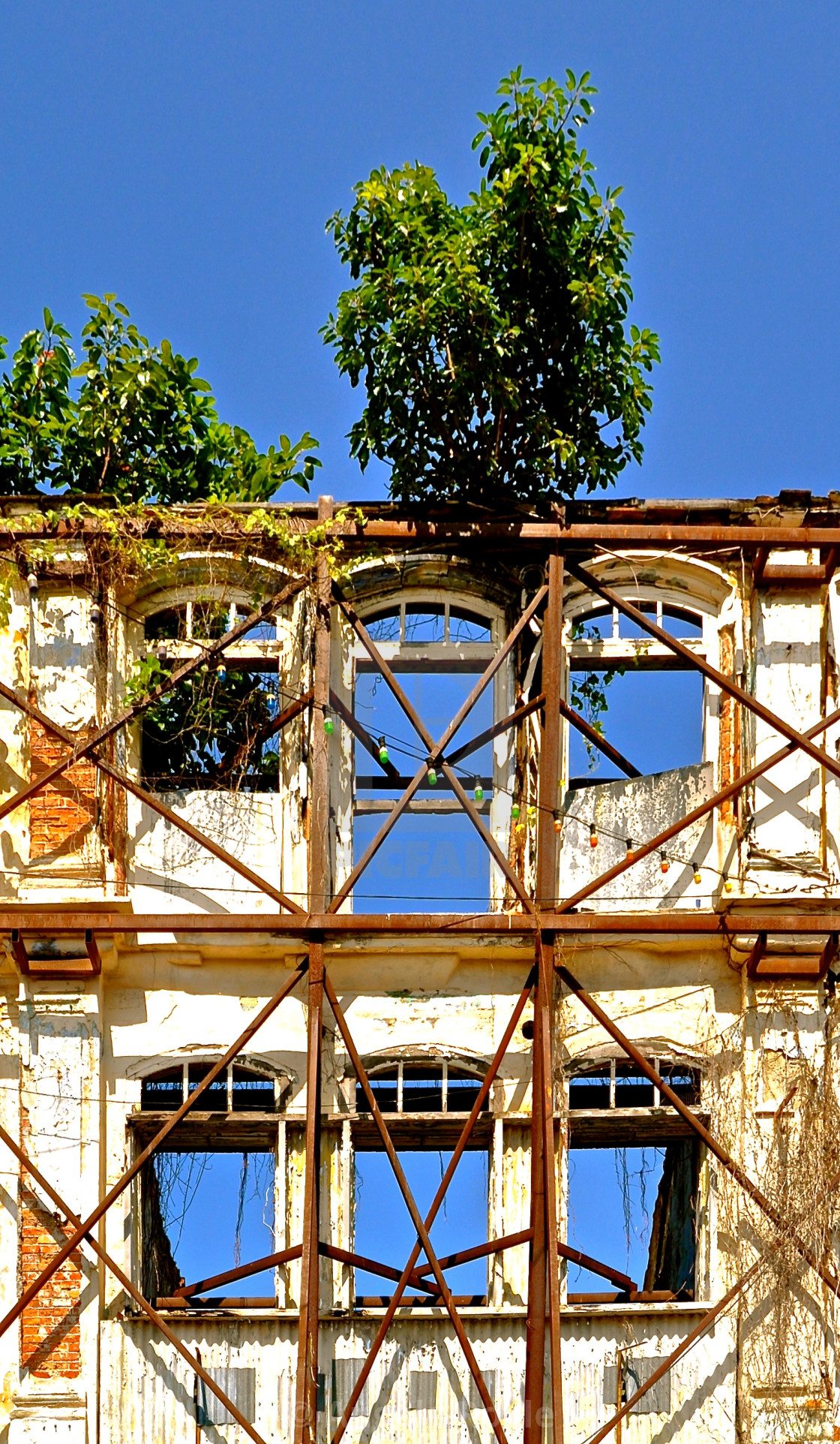 "Derelict overgrown building" stock image