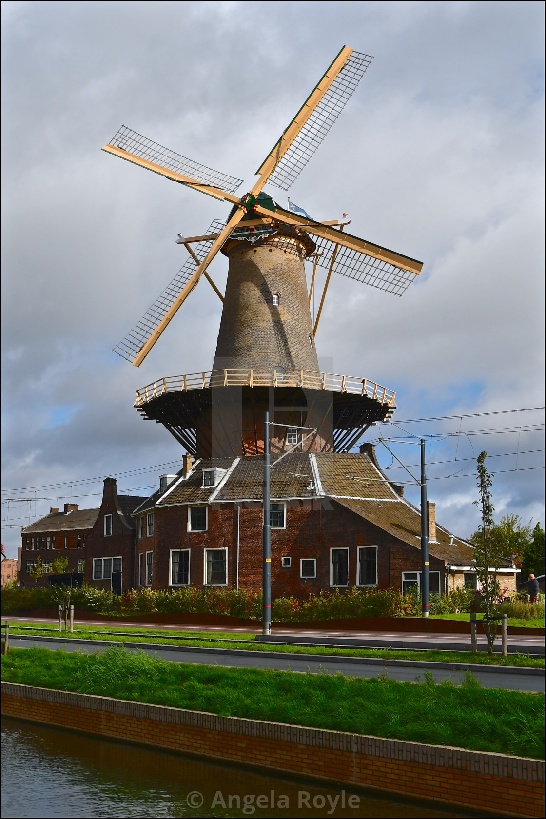 "Molen de Roos" stock image