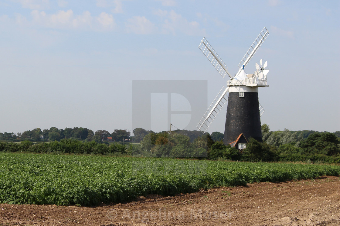 "Burnham Overy Staithe Windmill" by Angelina Moser - $37.78 "Burnham Overy Staithe Windmill" stock image