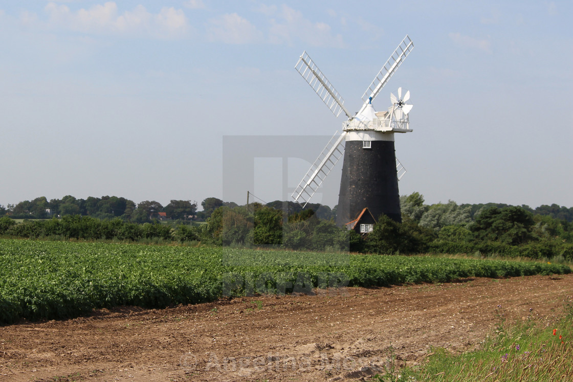 "Burnham Overy Staithe Windmill" by Angelina Moser - $37.76 "Burnham Overy Staithe Windmill" stock image