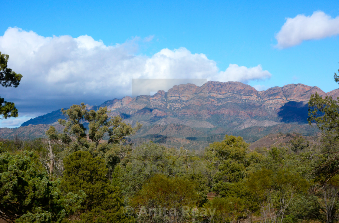 Flinders Ranges South Australia License Download Or Print For 1 24 Photos Picfair