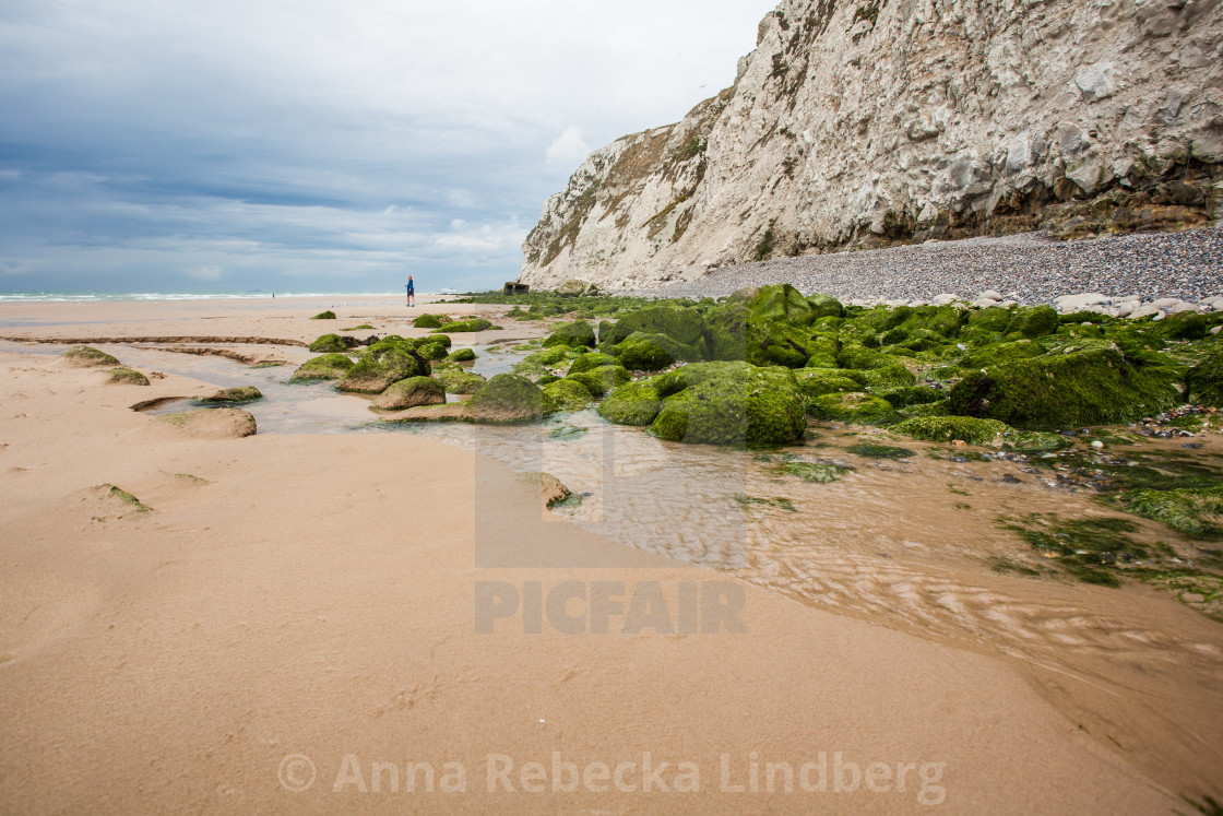 "Low tide" stock image