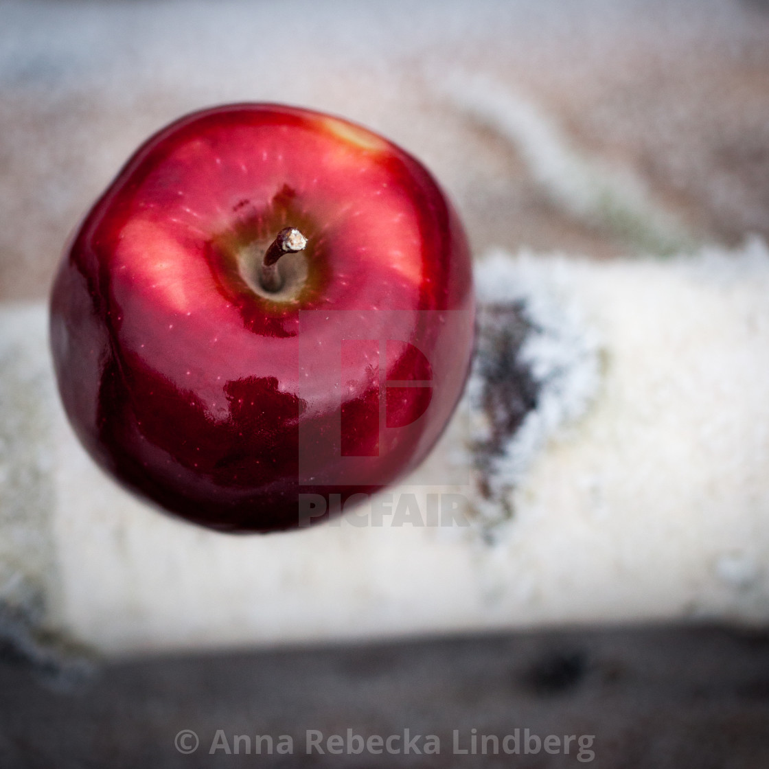 "You're the Christmas apple of my eye!" stock image