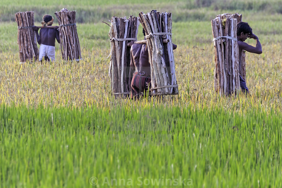 "hard work" stock image