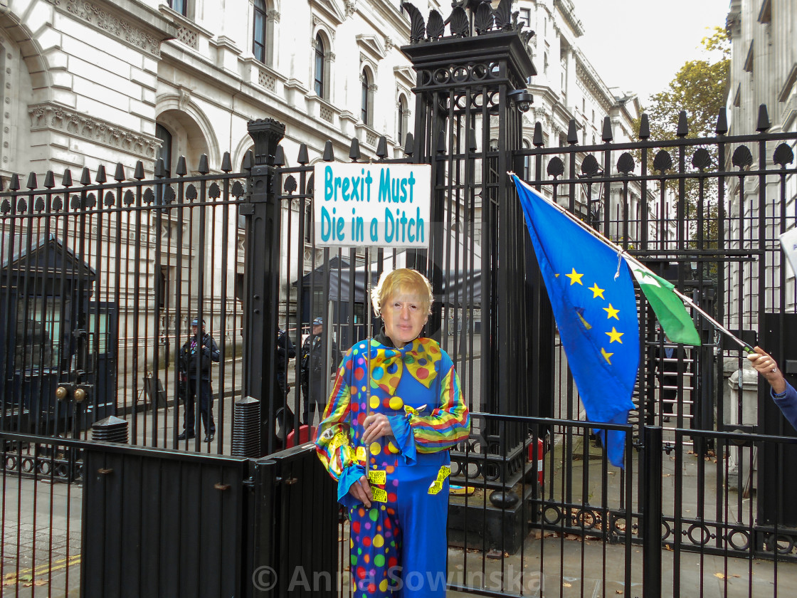 "Anti Brexit" by Anna Sowinska - $12.34 "Anti Brexit" stock image