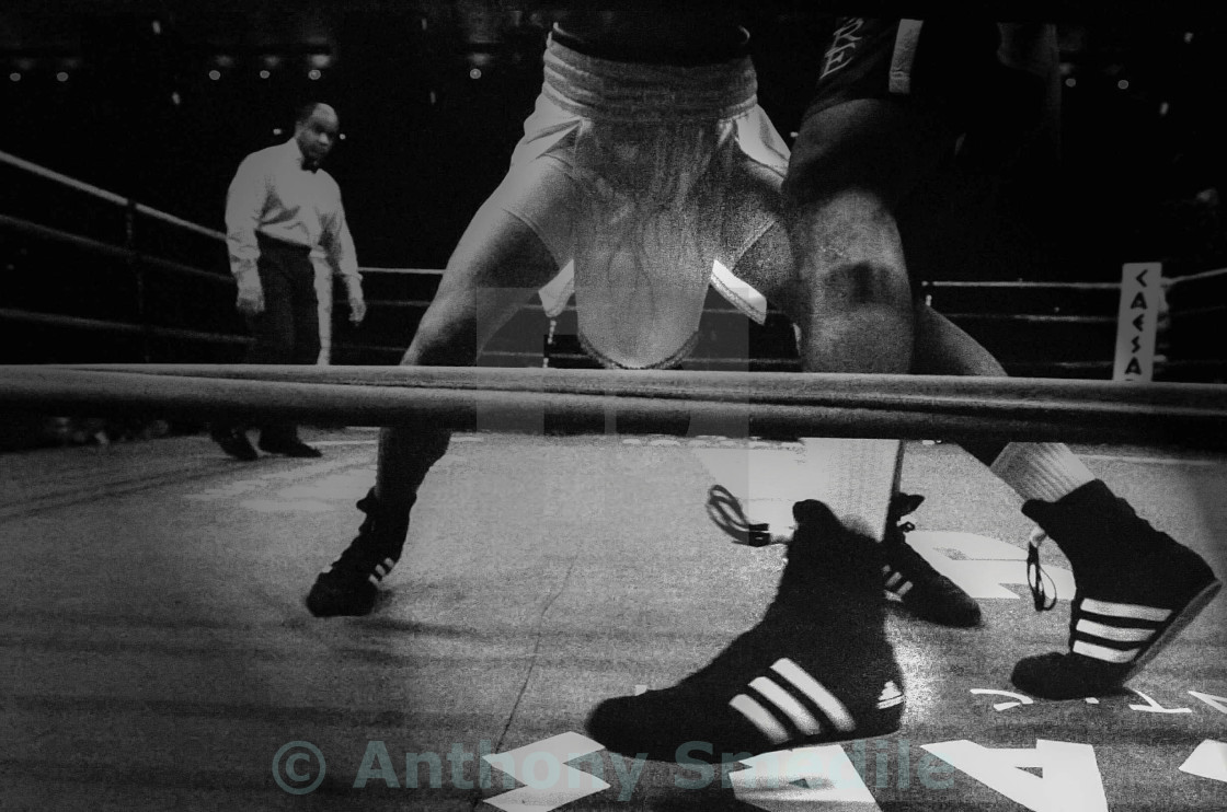 "Boxing" stock image