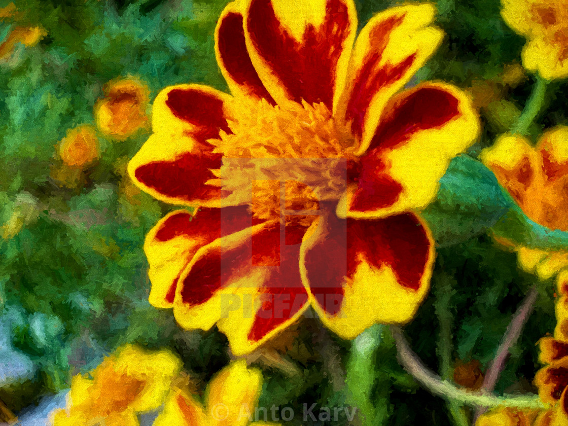 Yellow Red Flowers On Green Background Digital Painting