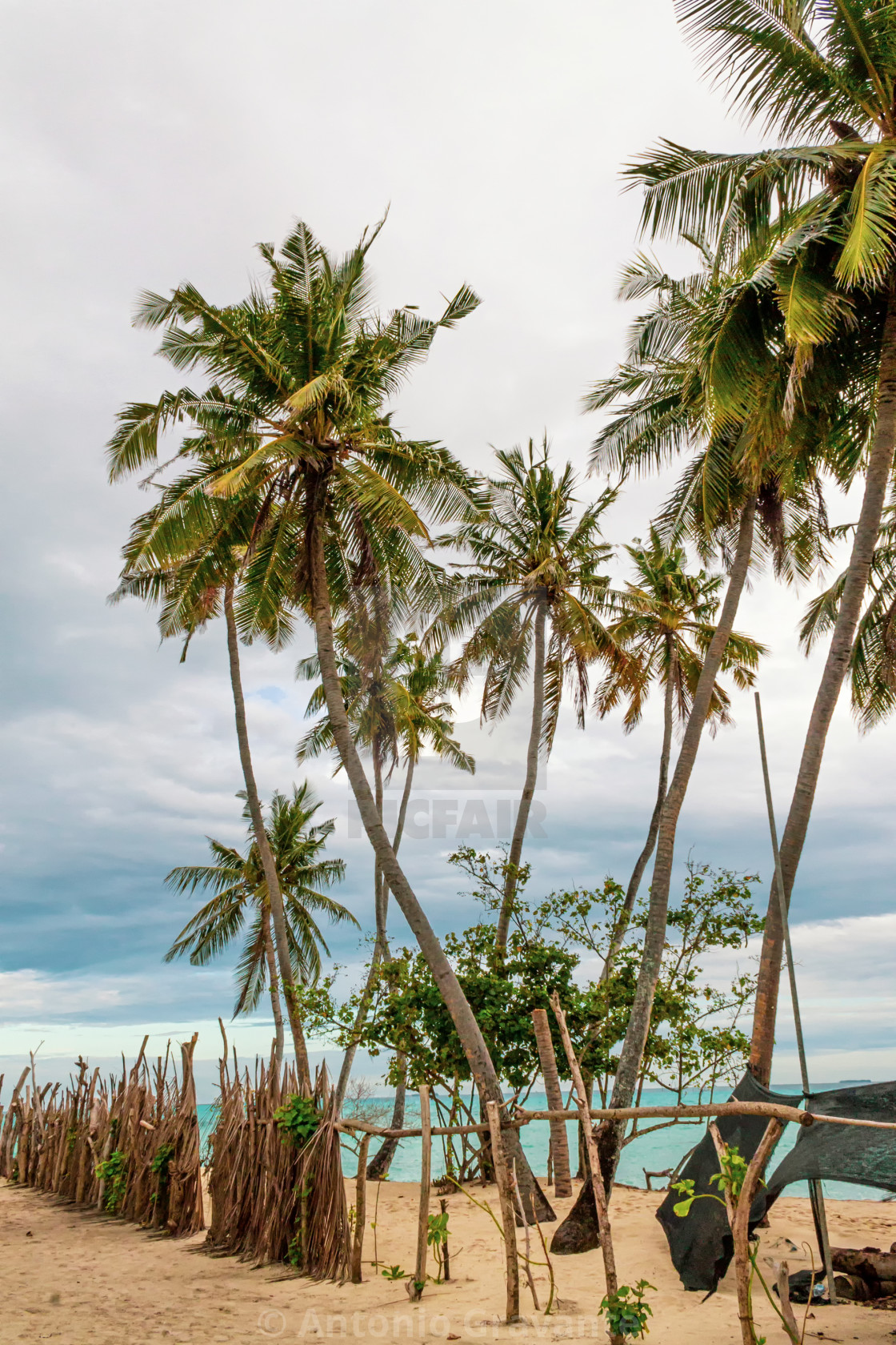 "Palm trees on the beach in the Maldives. Dark, cloudy and threatening sky." by Antonio Gravante - $10.72 "Palm trees on the beach in the Maldives. Dark, cloudy and threatening sky." stock image