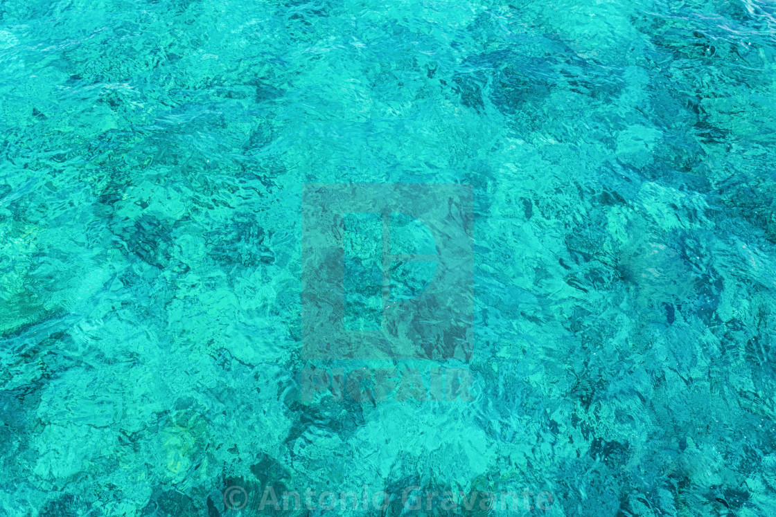 "Crystal clear turquoise water in the Maldives." by Antonio Gravante - $10.72 "Crystal clear turquoise water in the Maldives." stock image