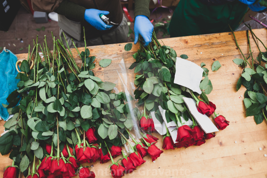 "Red roses are on the counter in the flower shop." by Antonio Gravante - $10.72 "Red roses are on the counter in the flower shop." stock image