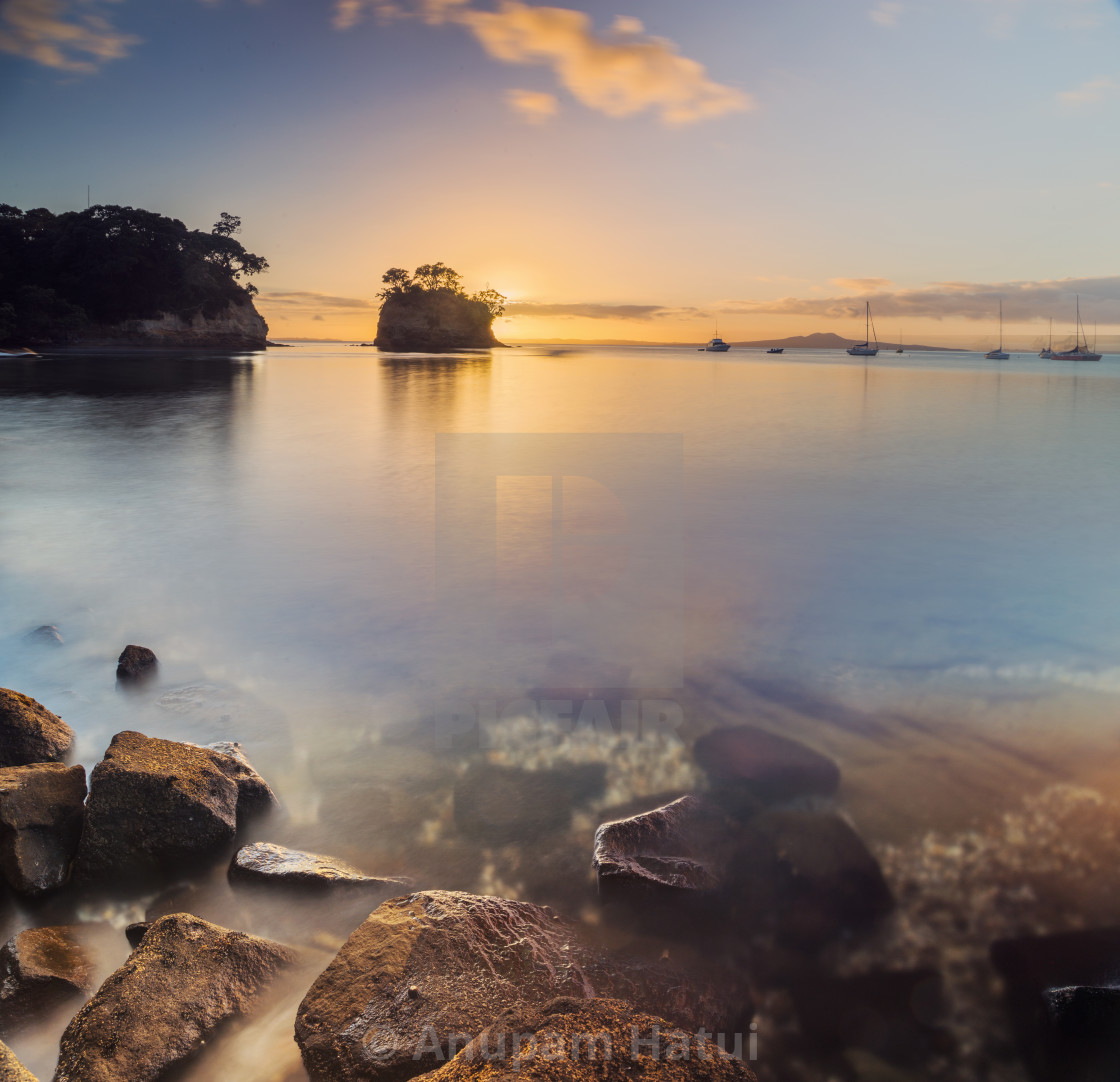 "Waiake Beach Auckland New Zealand" stock image