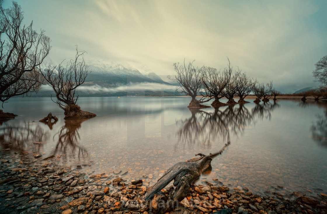 "Willows of Lake Wakatipu, Glenorchy, New Zealand" stock image