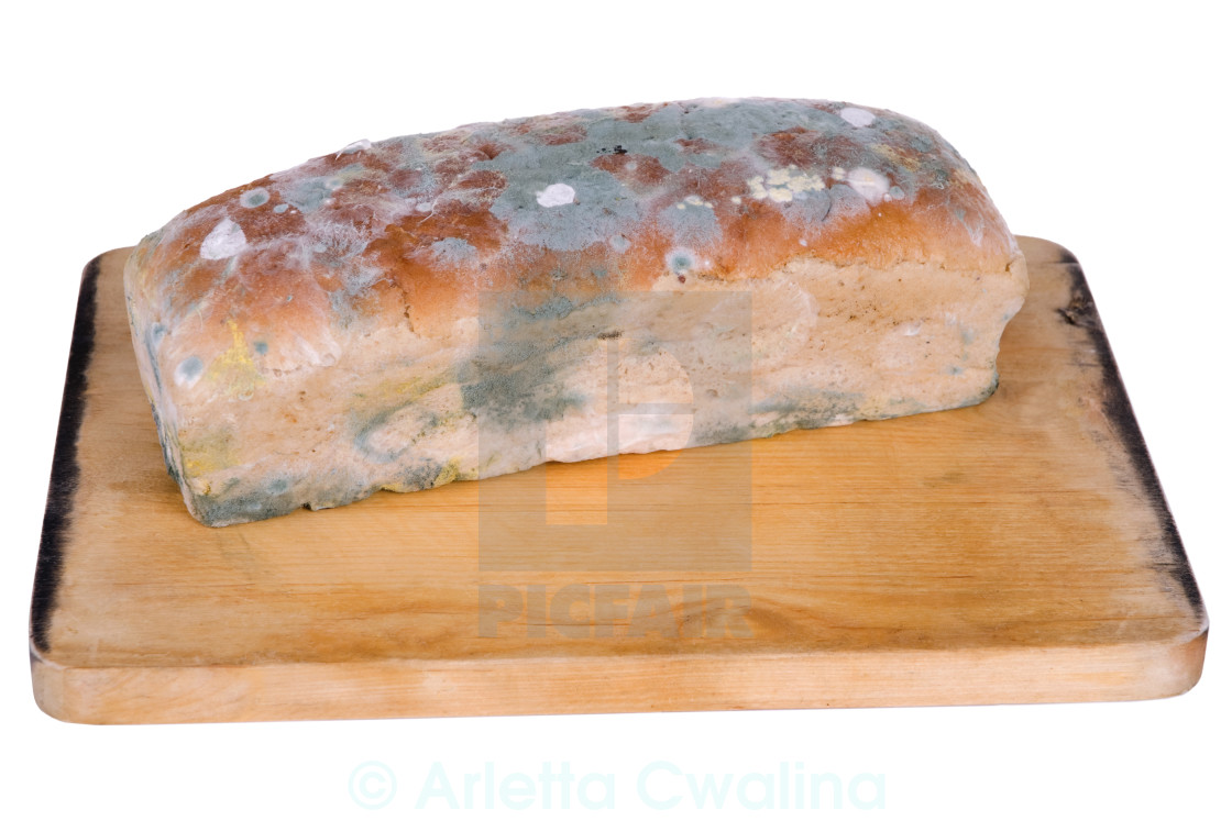 Loaf Of Moldy Bread On White License Download Or Print For 3100