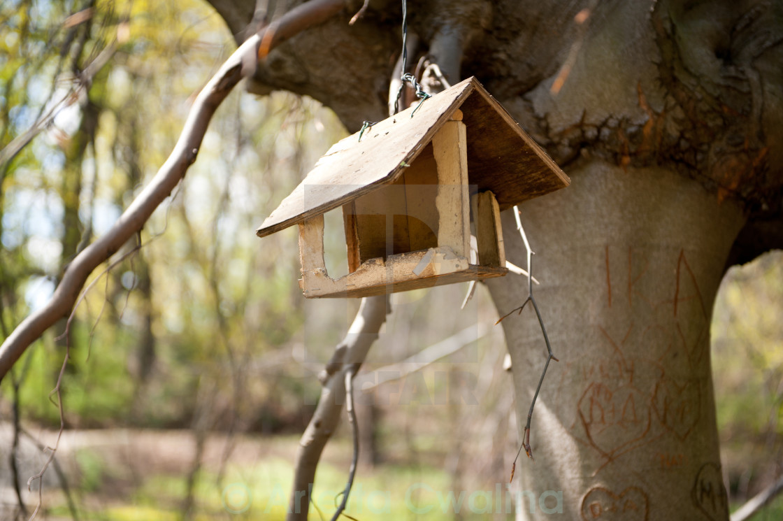 "Empty bird feeder hanging" stock image