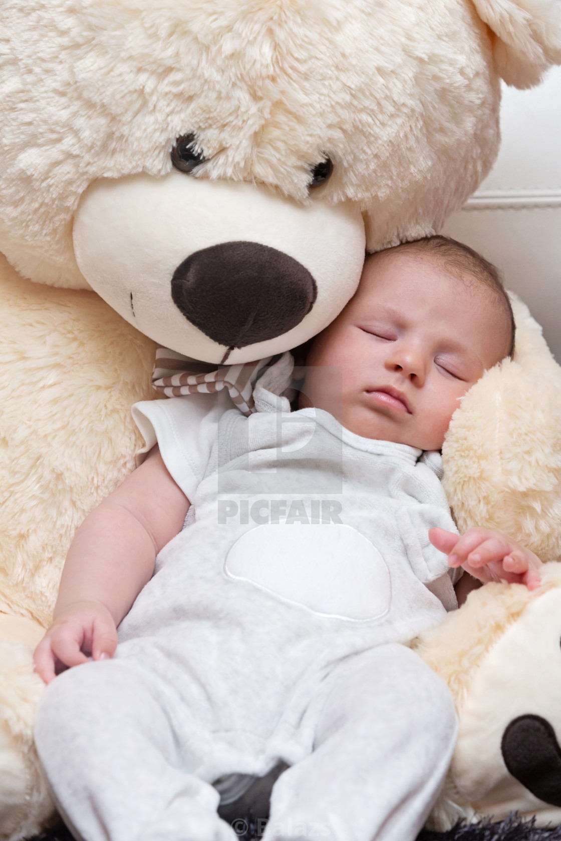 teddy with baby