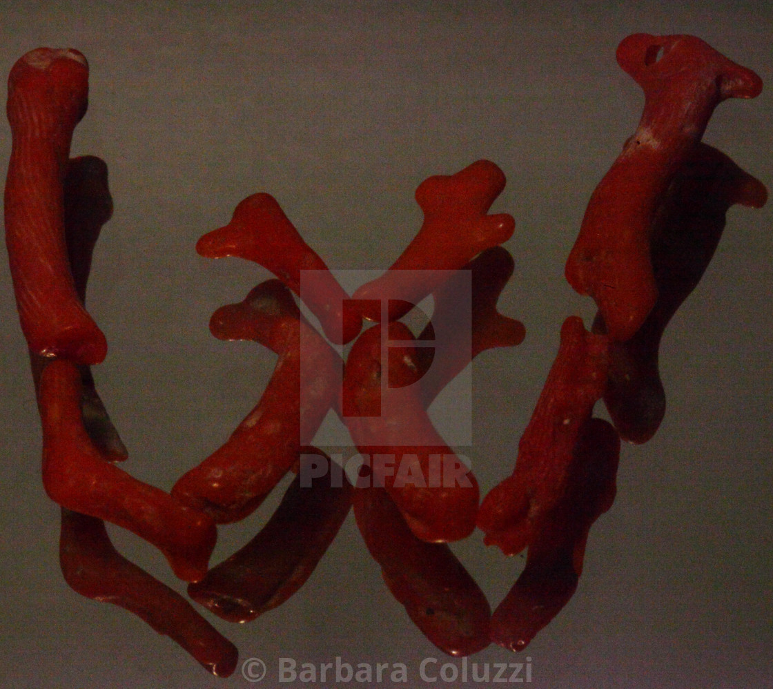 "Alphabet of red coral: W" stock image