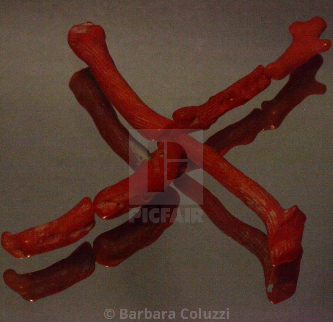 "Alphabet of red coral: X" stock image