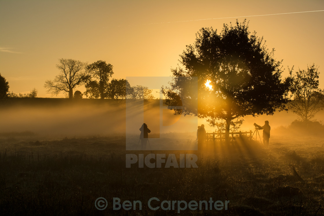 "Waiting for the deer" stock image