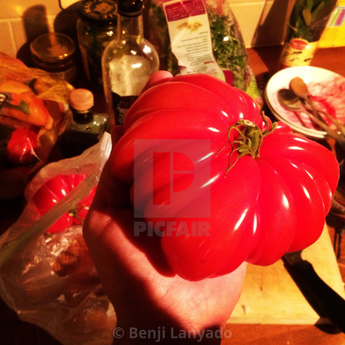 "Freak tomato" stock image