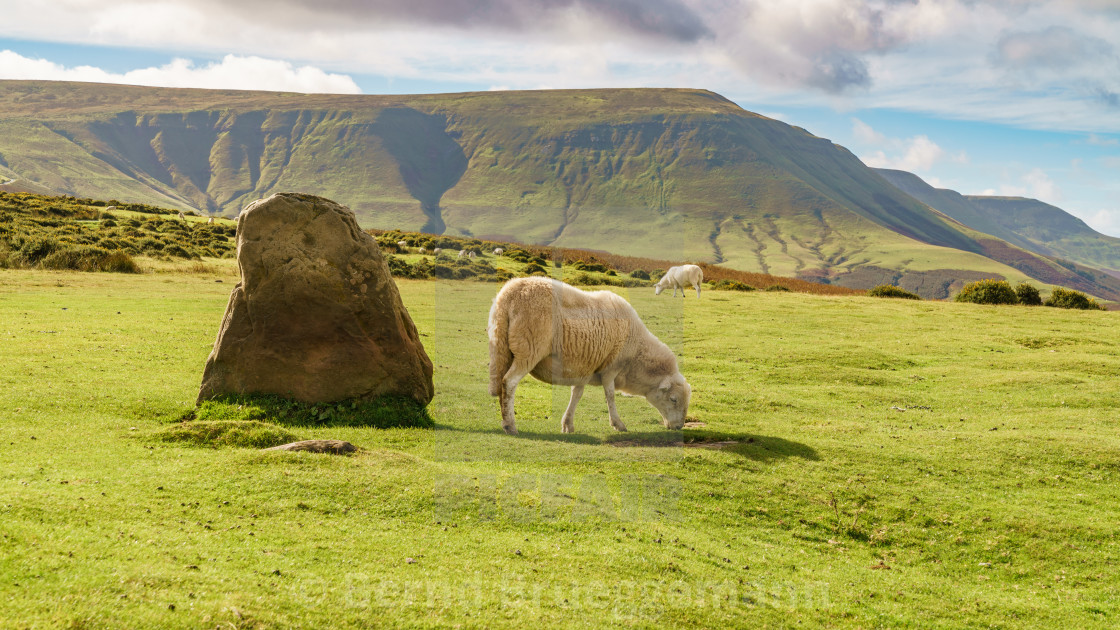 "Landscape near Hay Bluff, Wales, UK" stock image